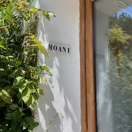 Moani Case de vacanță